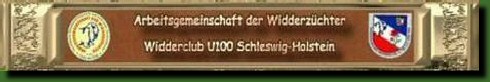 www.widder-ag.de